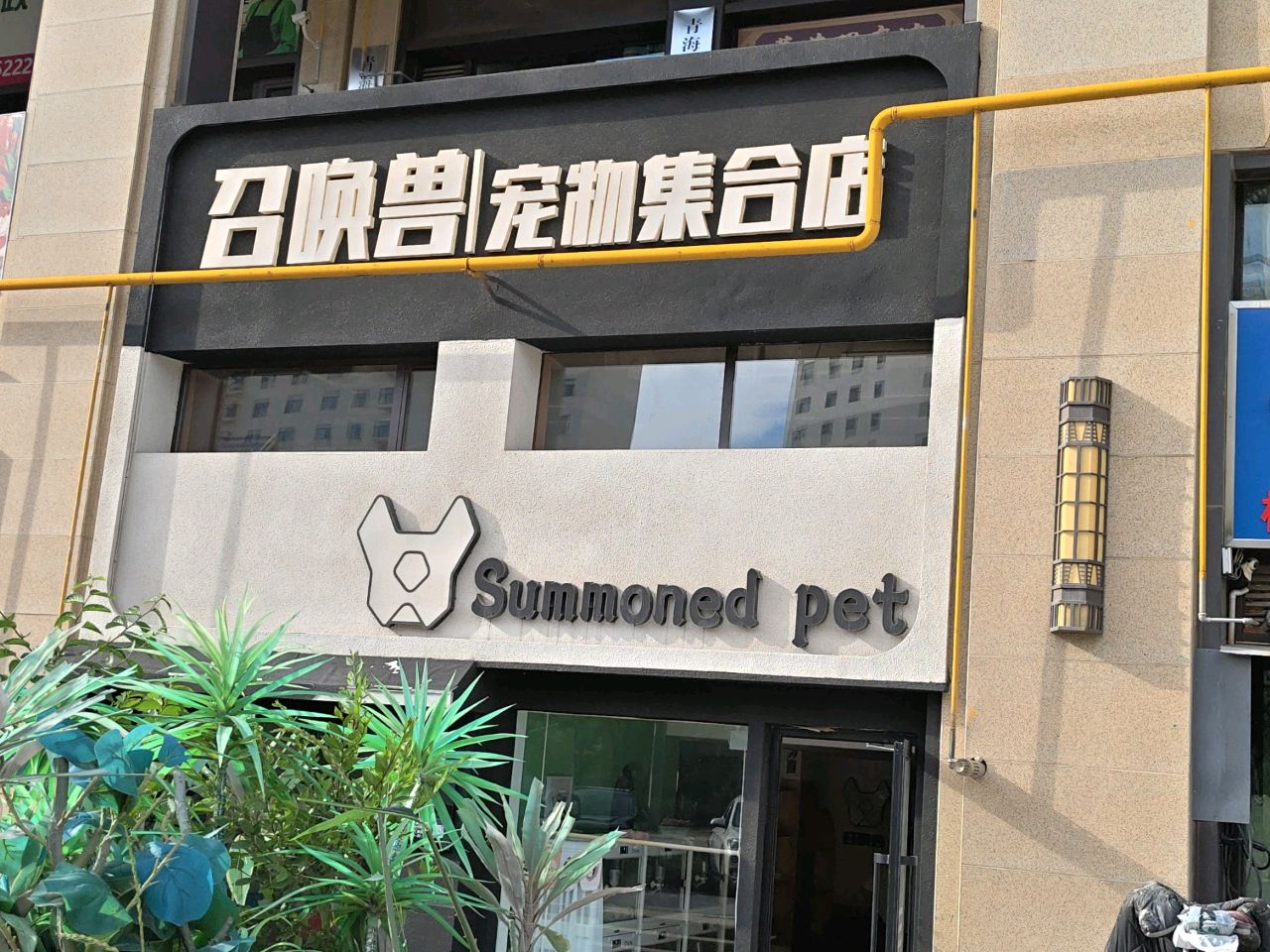 召唤兽宠物集合店
