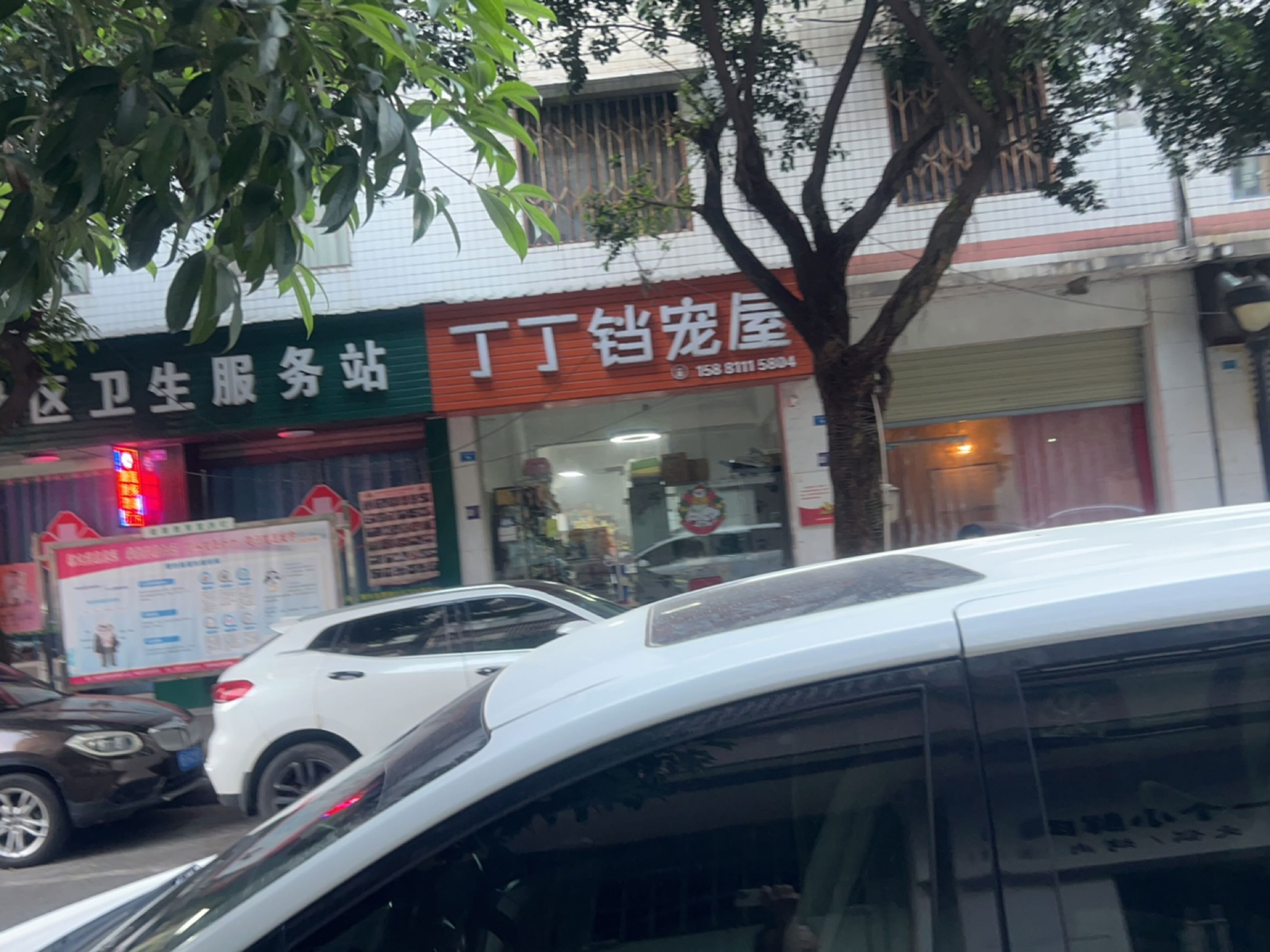 丁丁铛宠屋(鑫桥苑店)