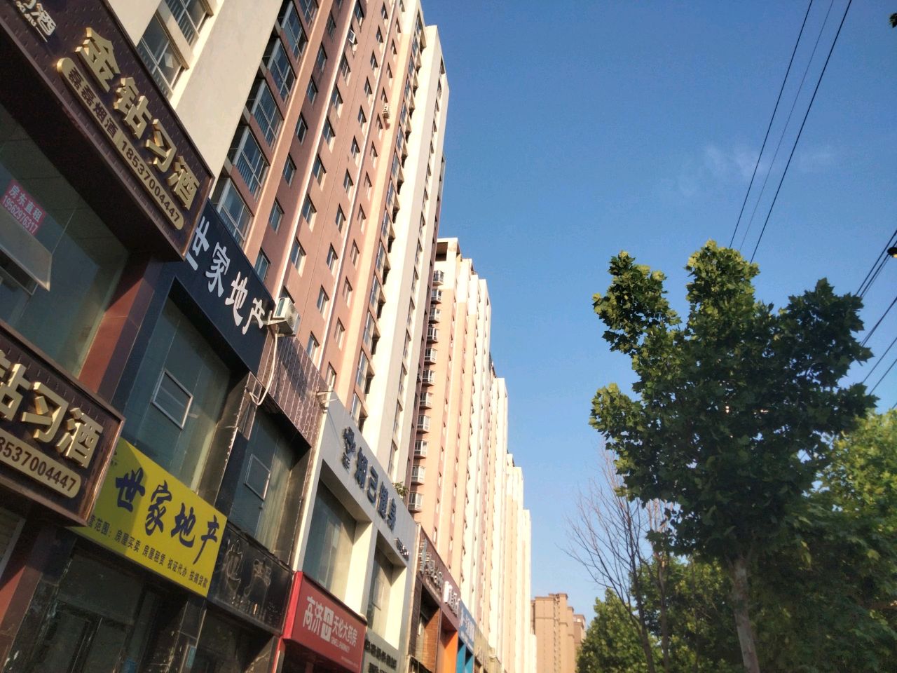 知己健身