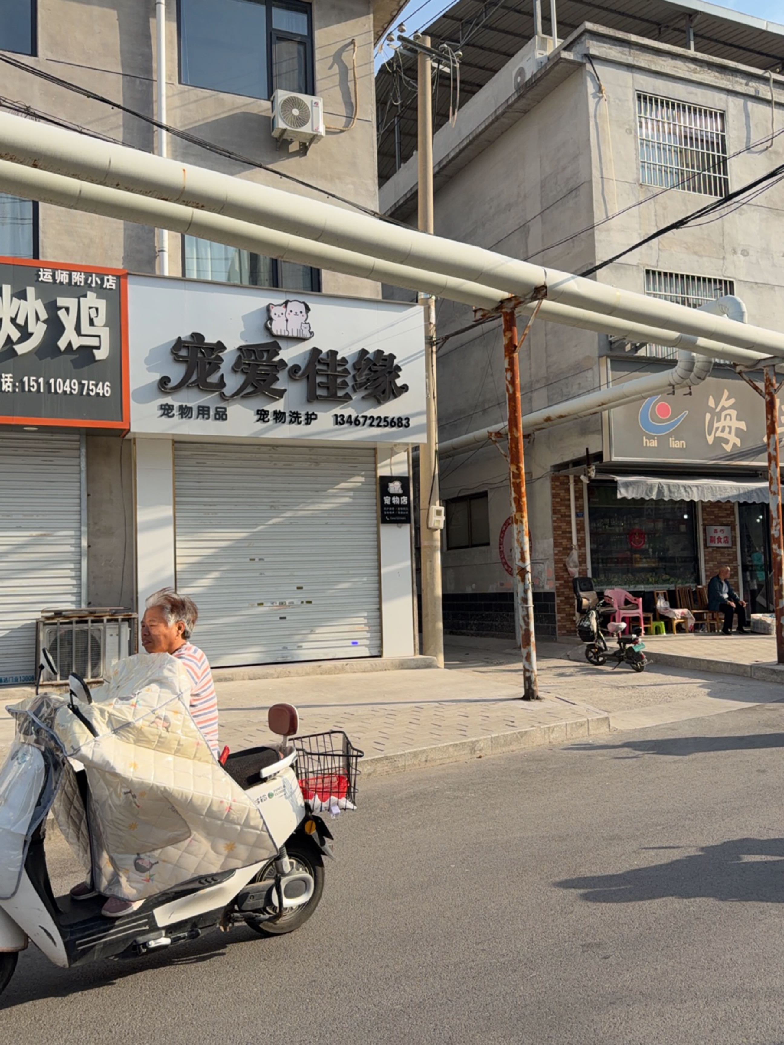 宠爱佳缘