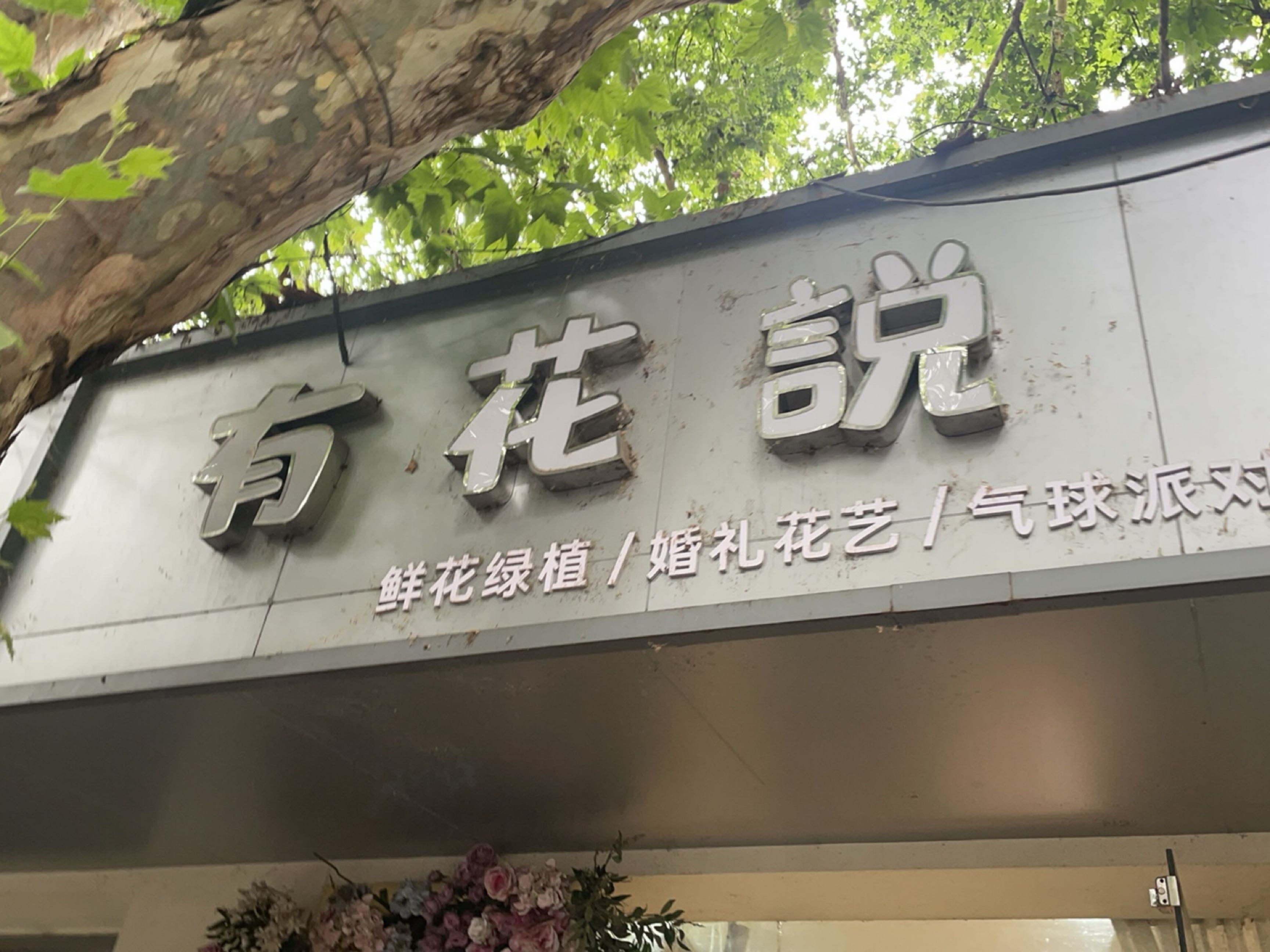 花语花艺生活馆(九洲跃进路1958小区店)