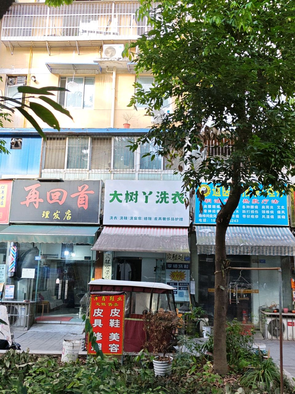 大树丫洗衣