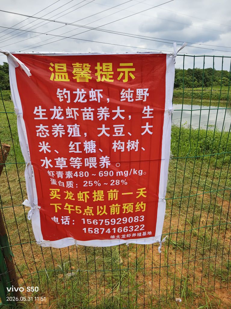 邵阳市雄大龙虾养殖垂钓基地
