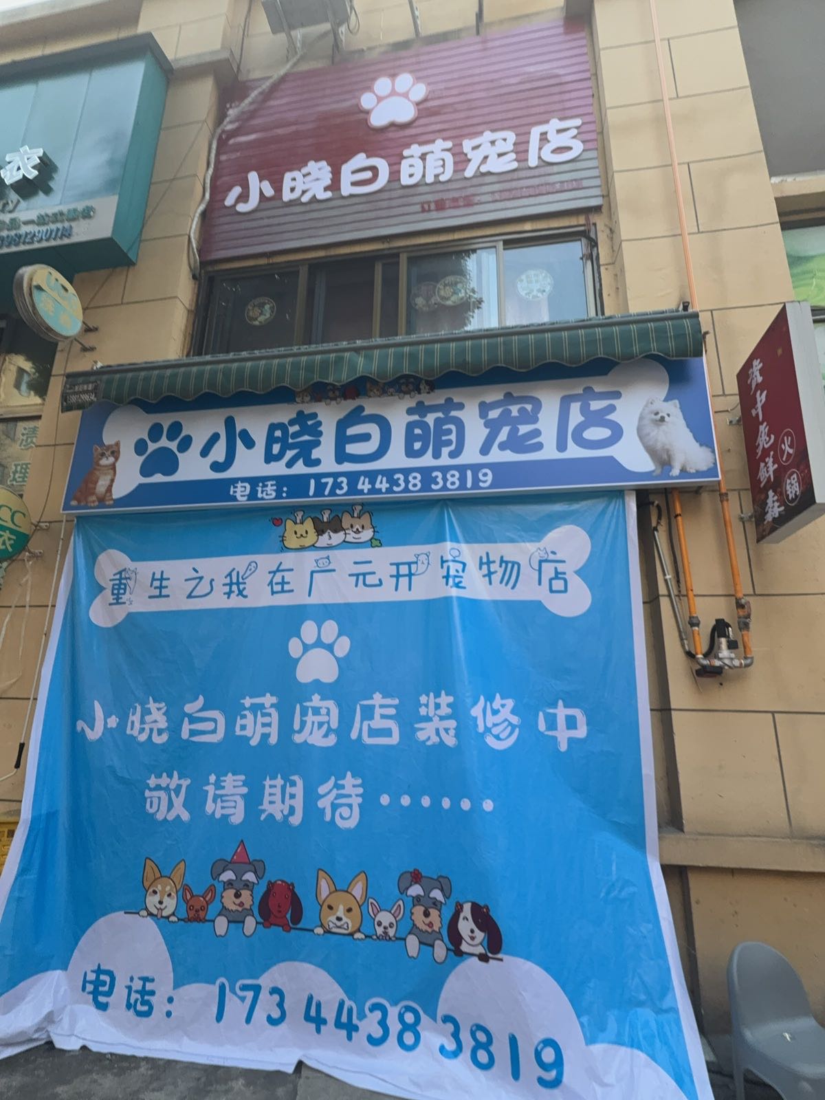 小晓白萌宠店
