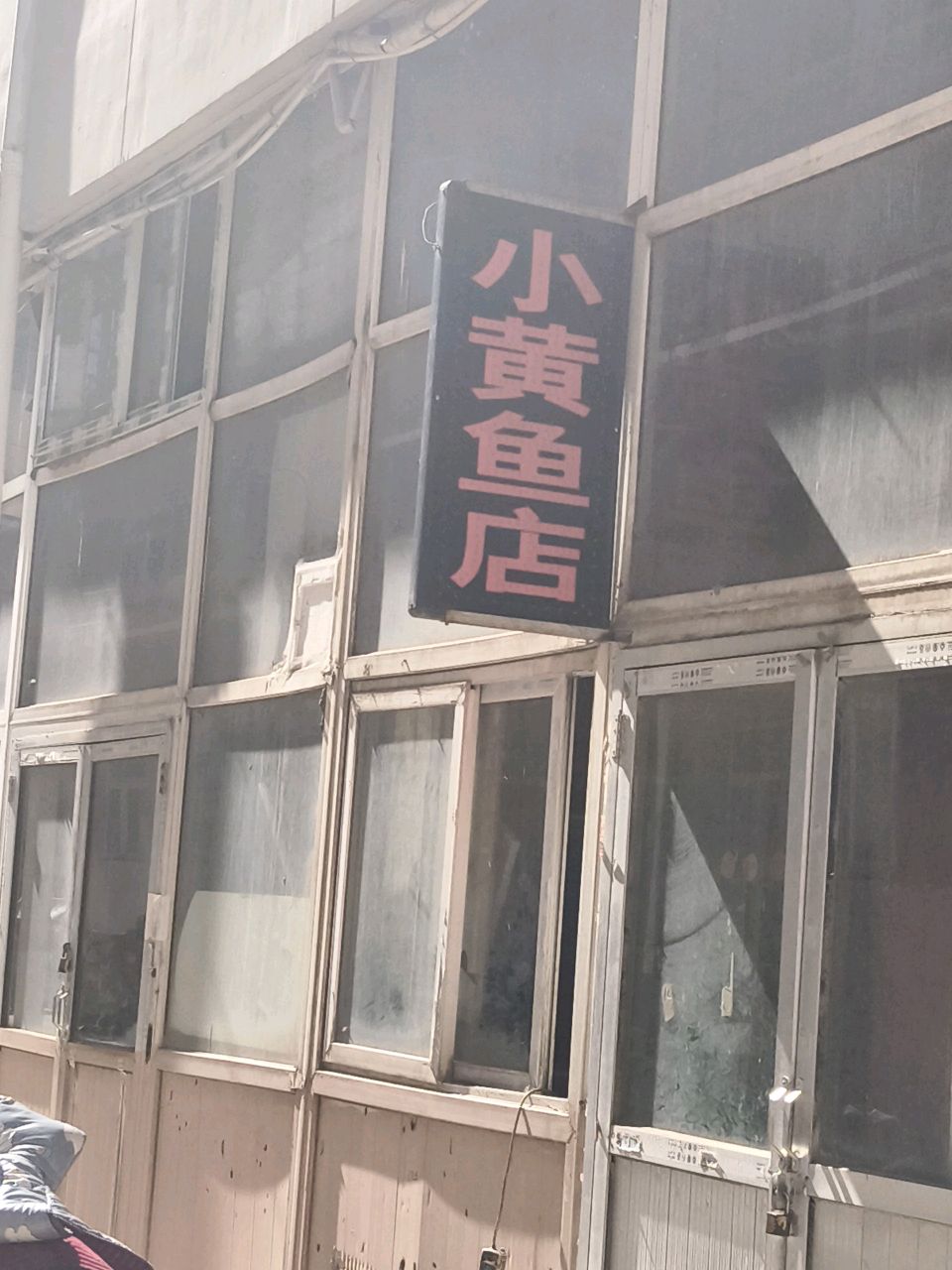 小黄锦鱼