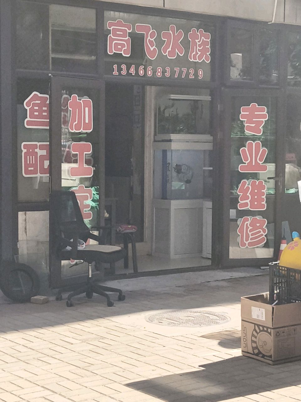 高飞水族