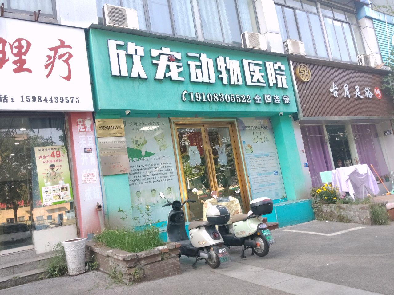 欣宠动物医院(桥南分院)