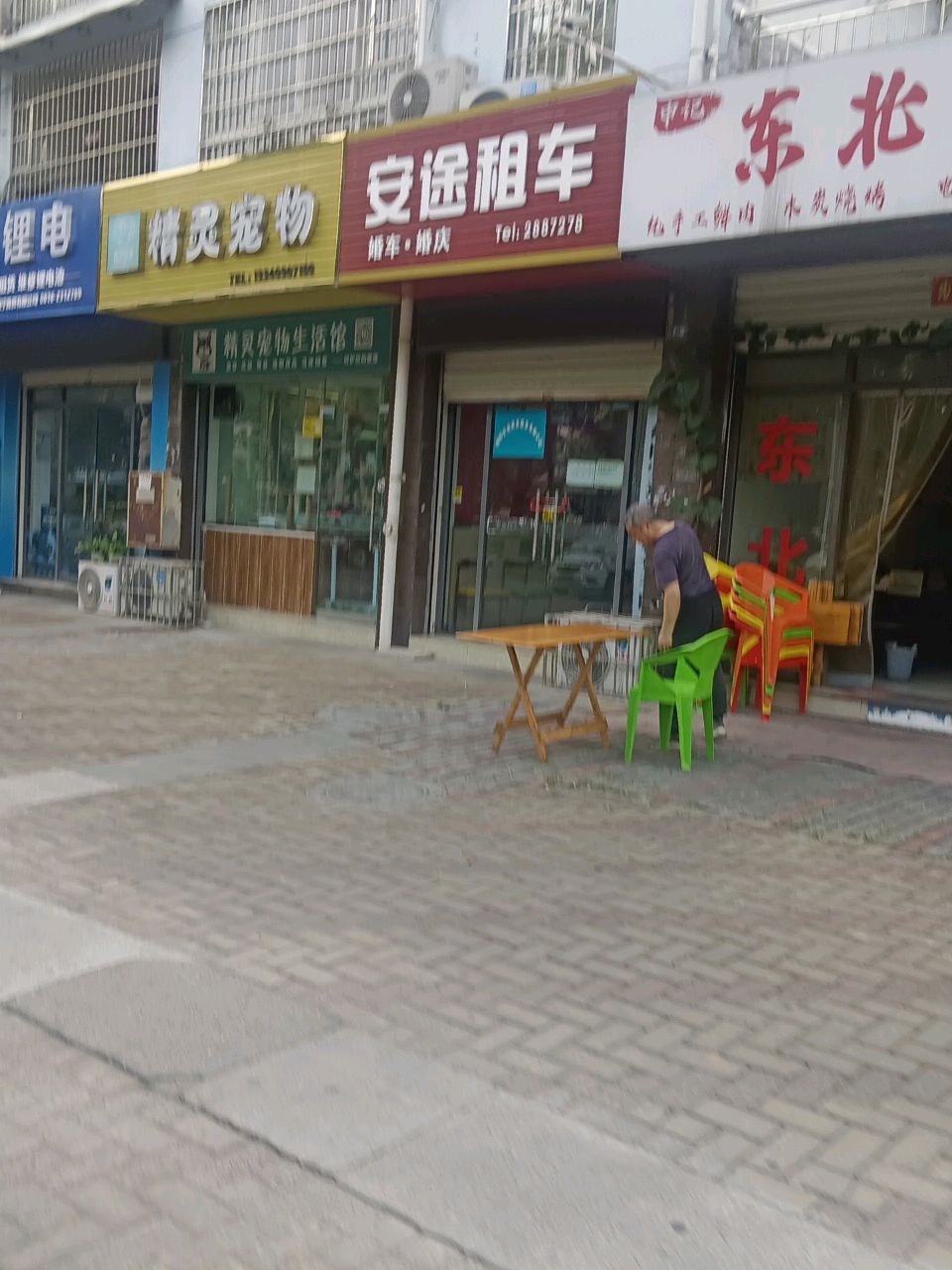 精灵宠物(红星小区店)