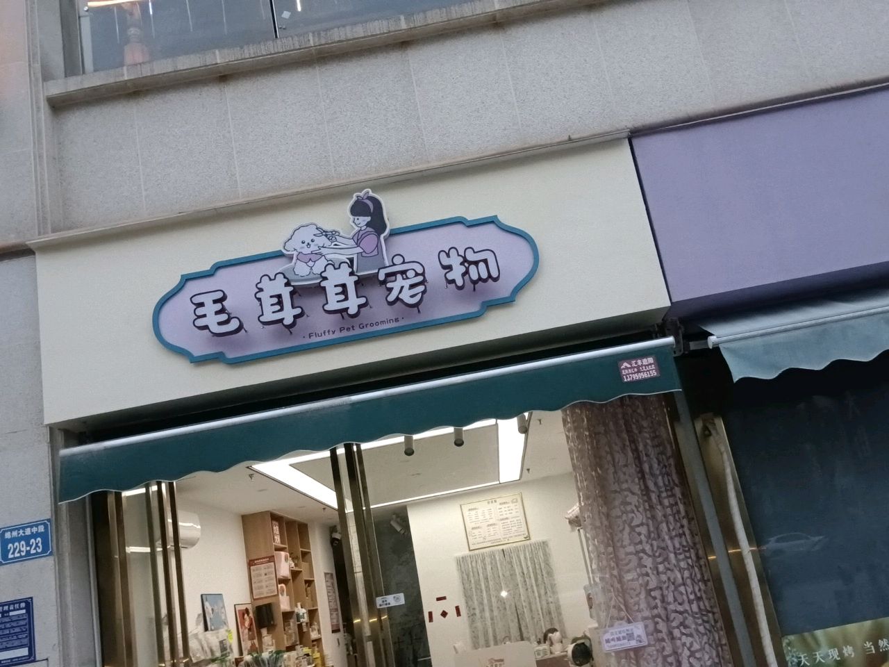 毛茸茸宠物