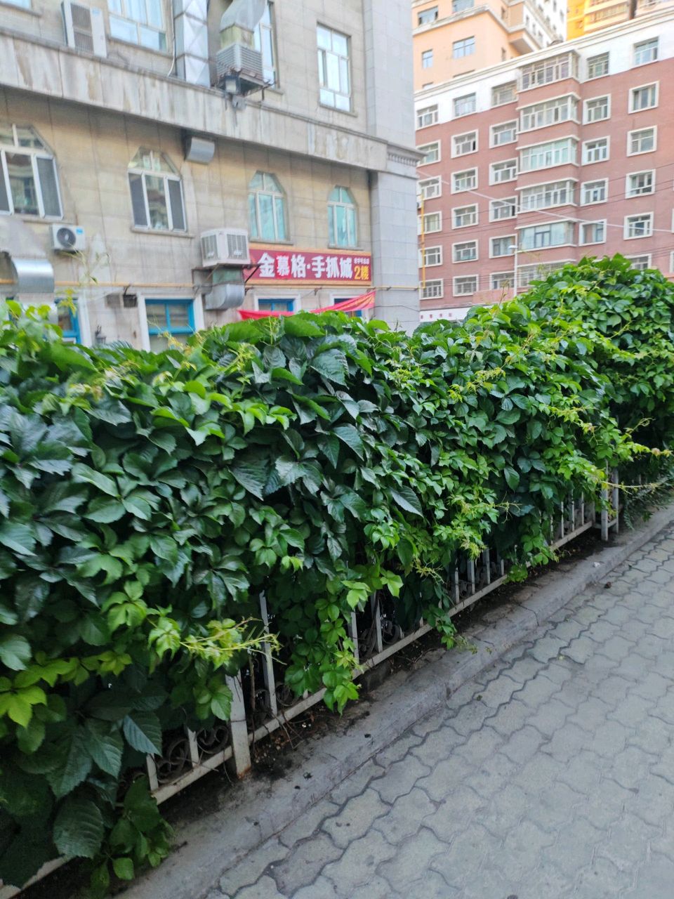 金穆格·手抓城(老字号总店)
