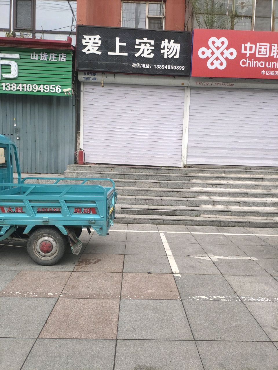 爱上宠物