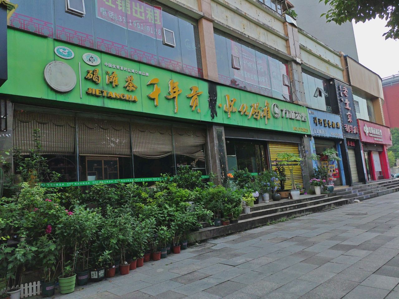千年贡茶(紫东星辰店)