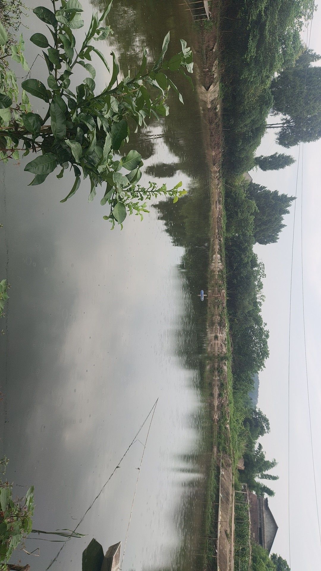 衡丰钓场