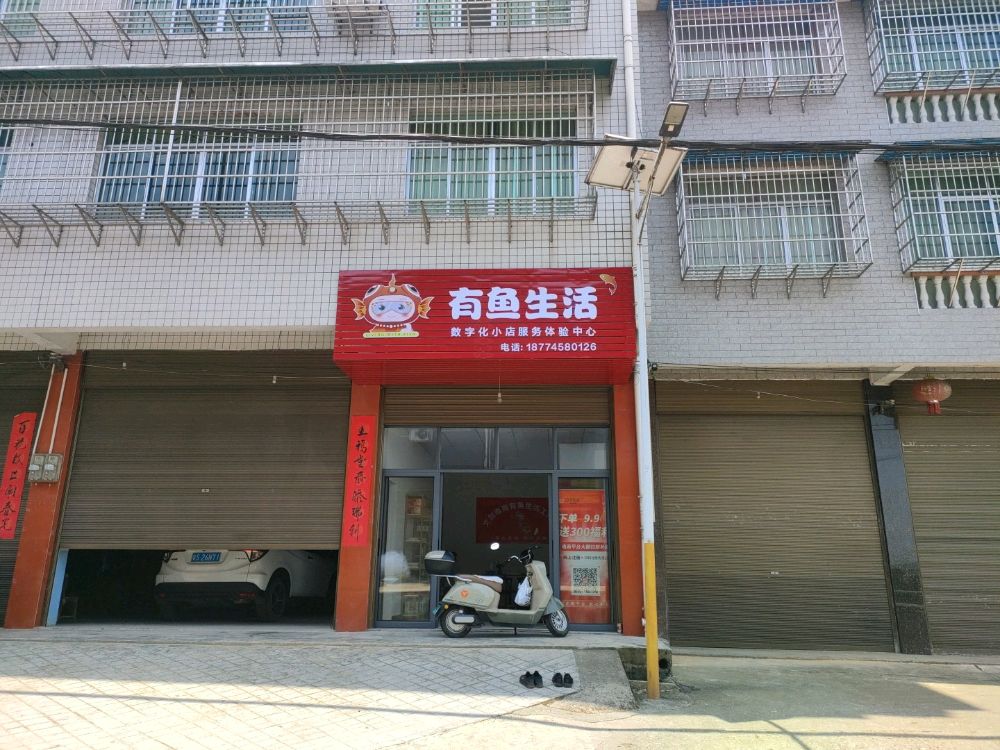 有鱼生活