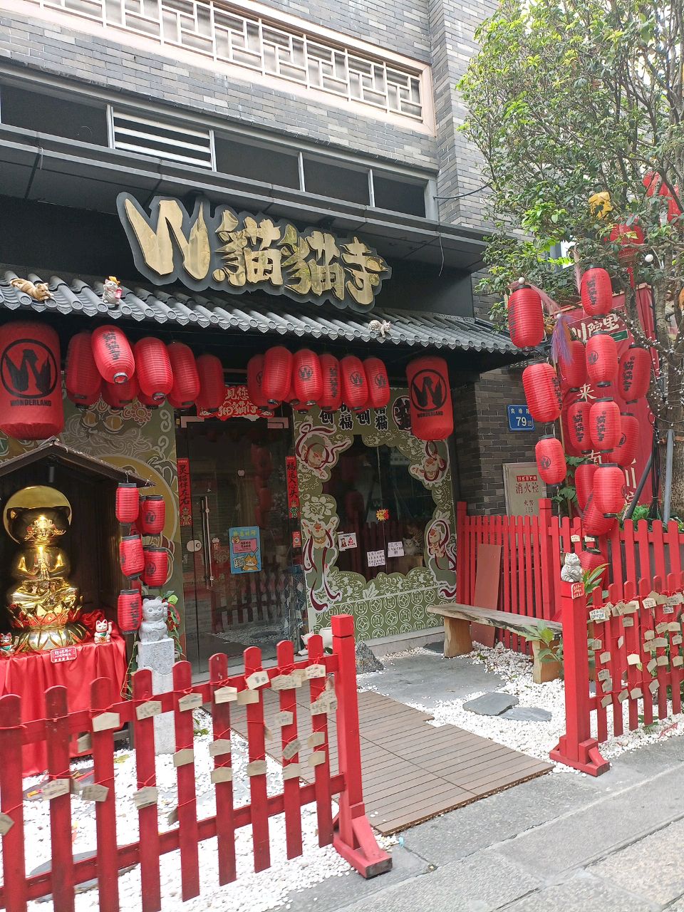 猫猫寺