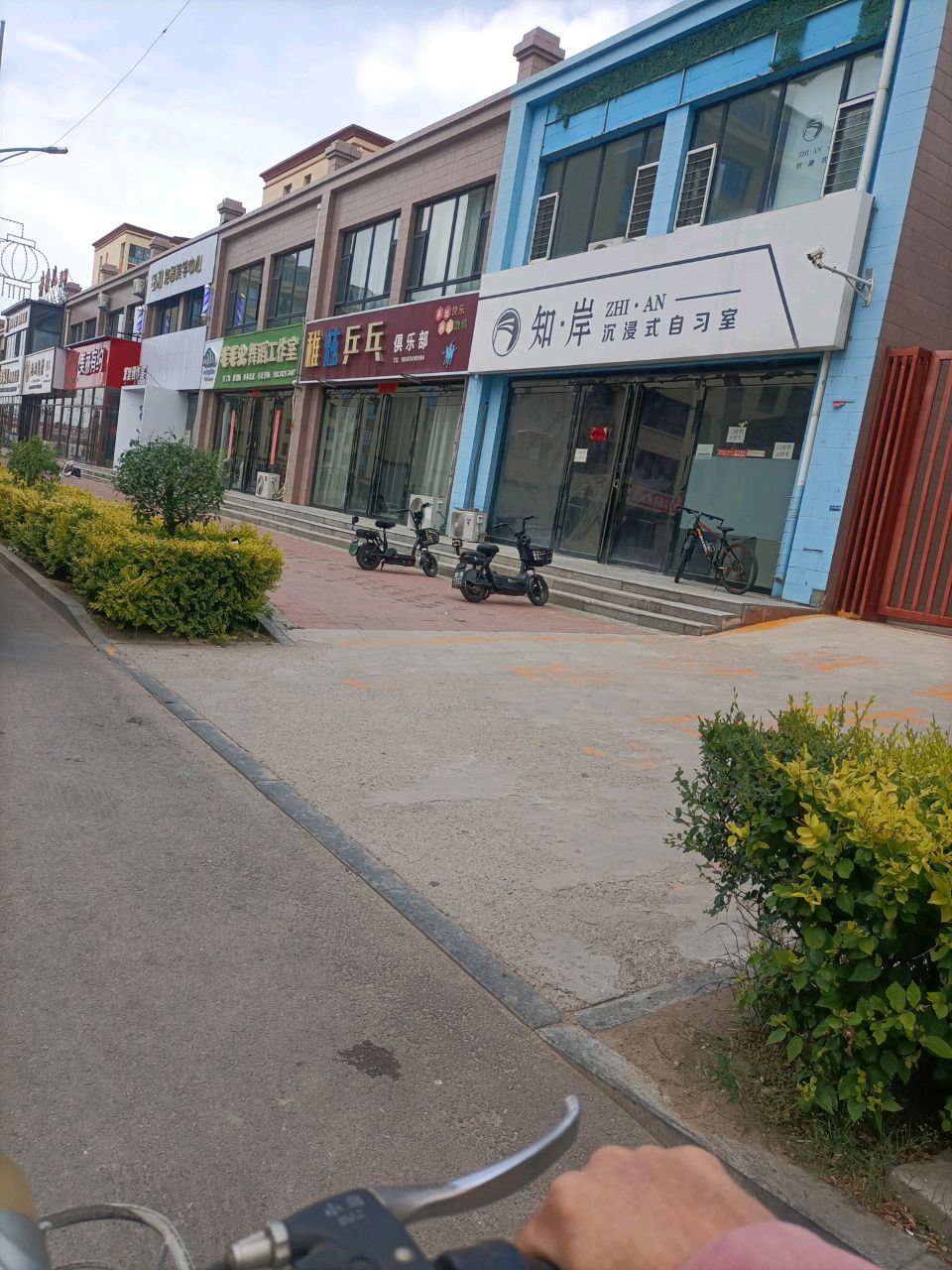 稚炫乒乓俱乐部