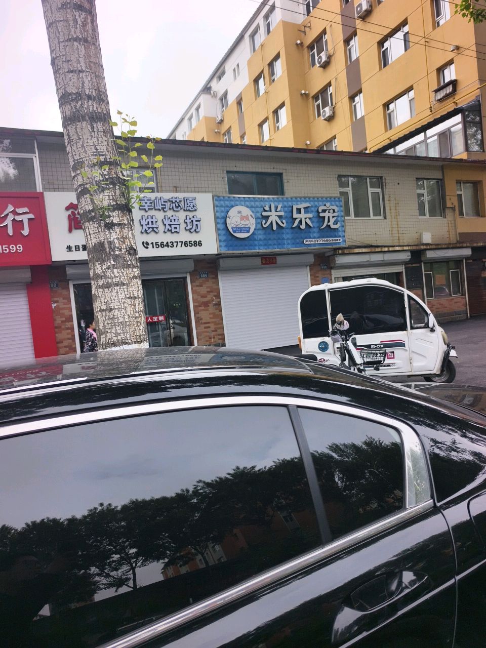 米乐宠