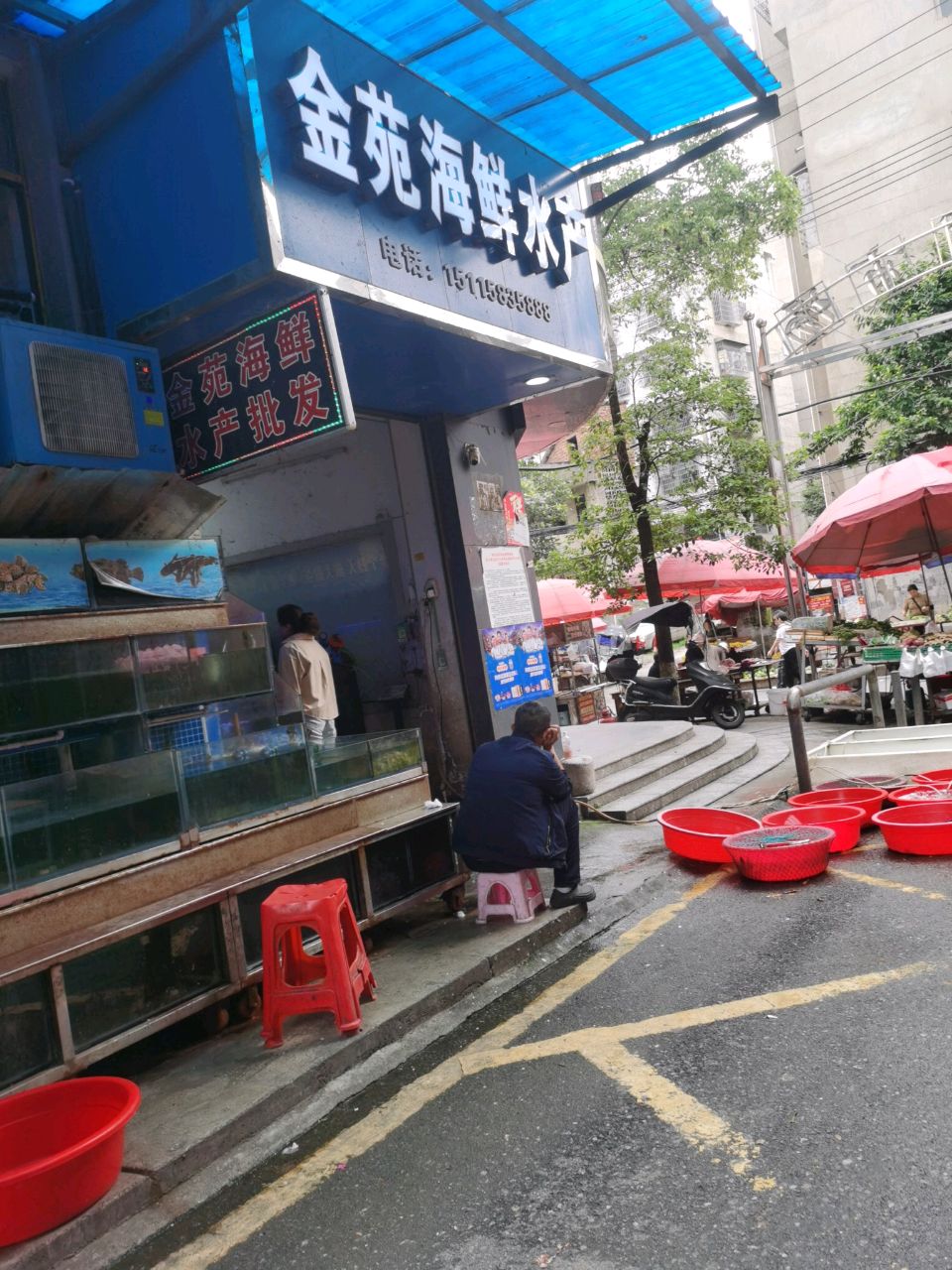 金苑海鲜水产