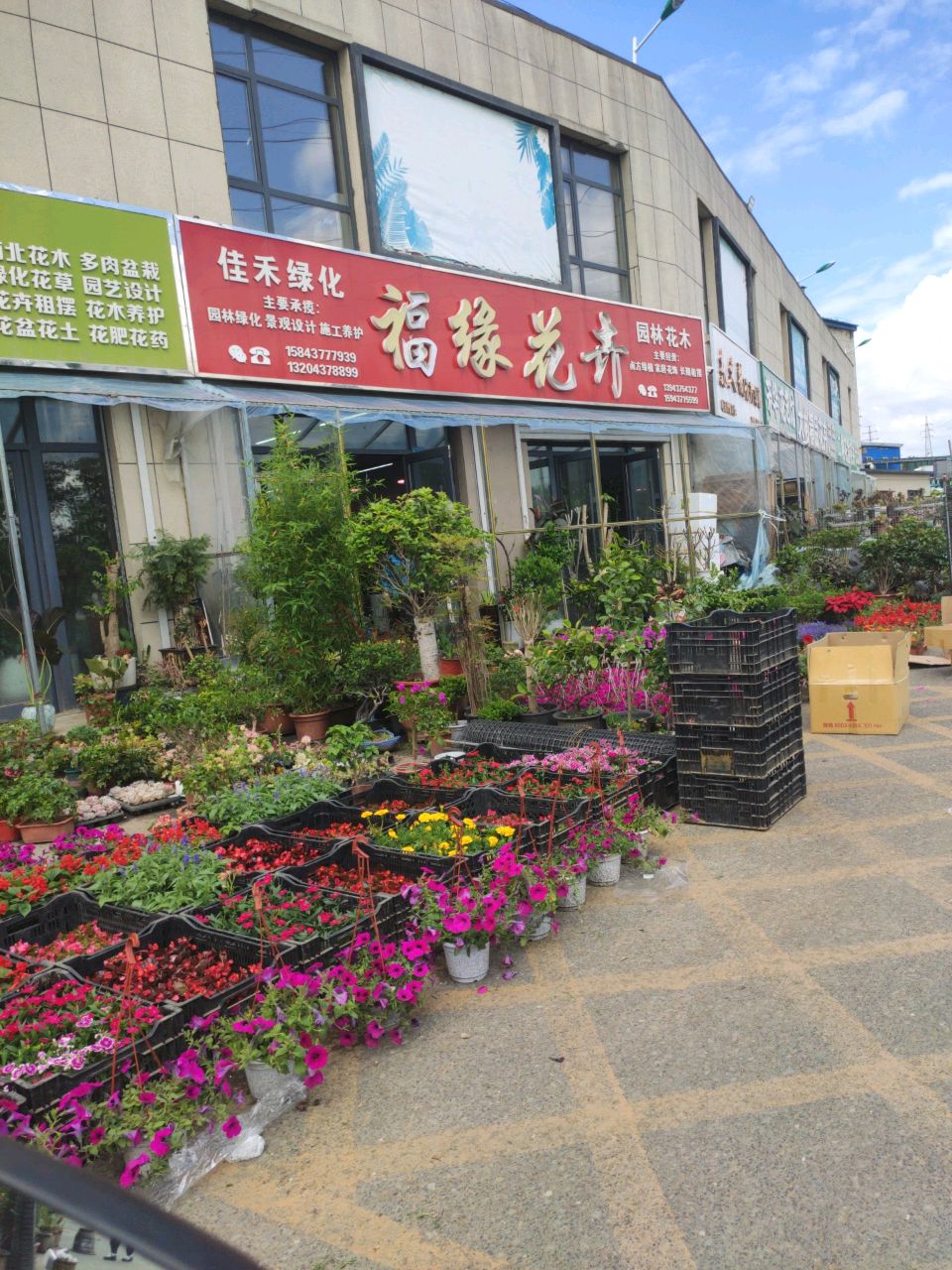 福缘花卉(辽源市中农商贸城店)