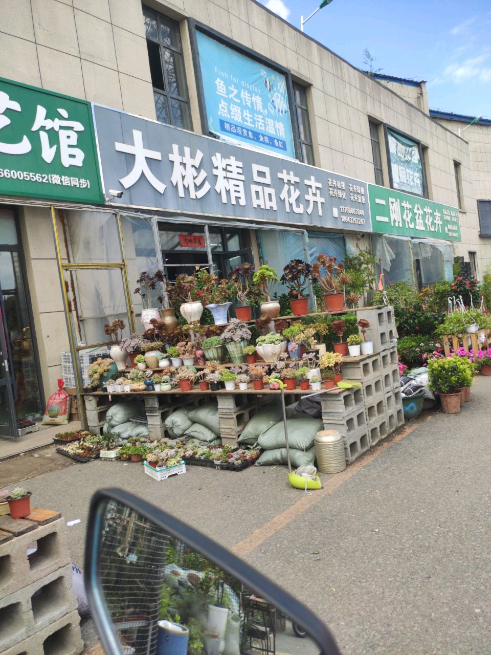精品花卉