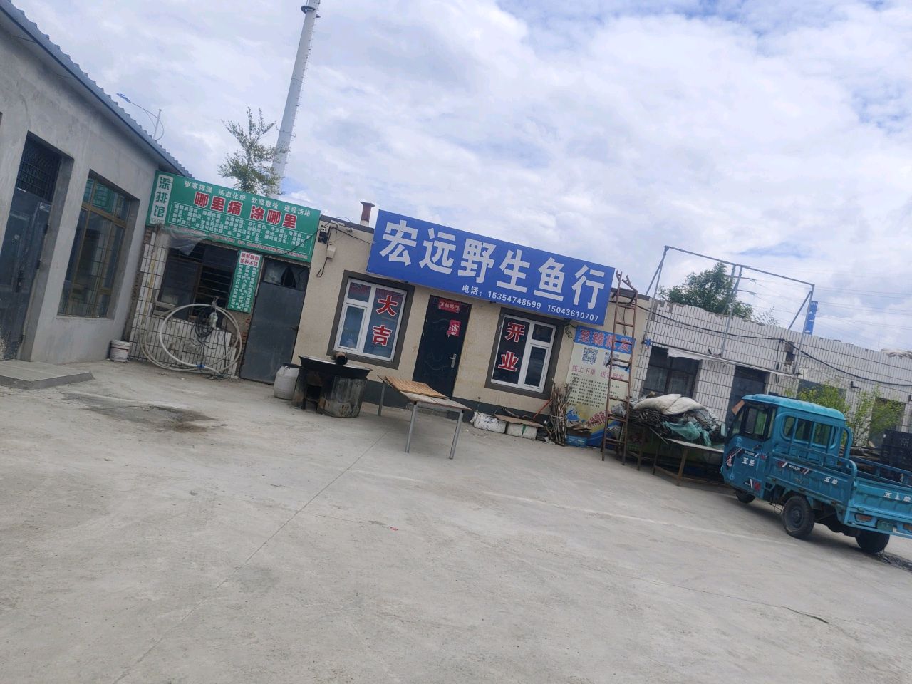 宏远野生鱼行