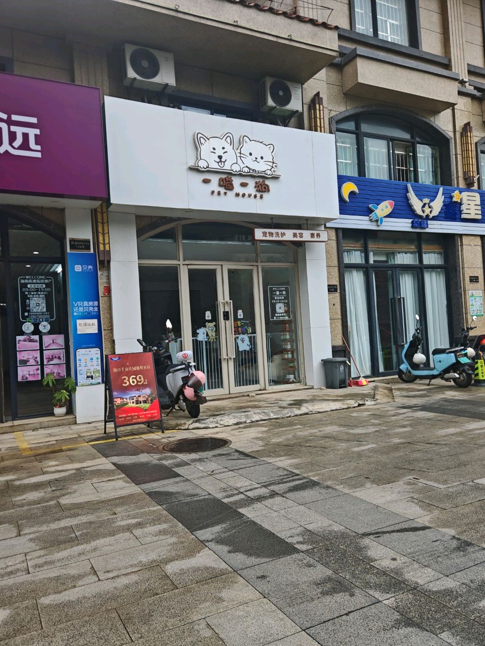 一喵一狗