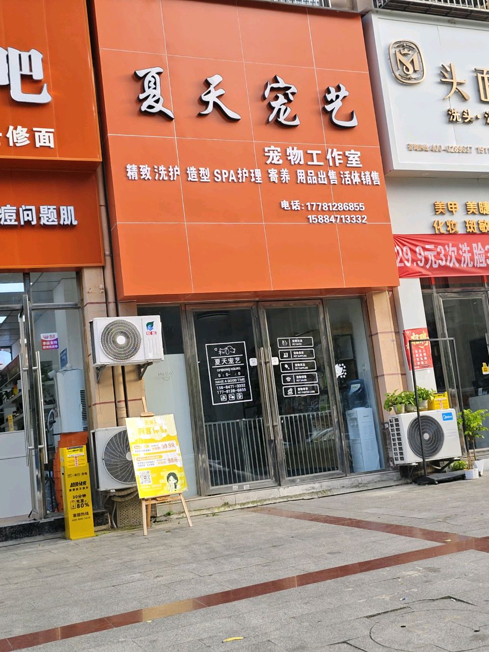 夏天宠艺宠物工作室