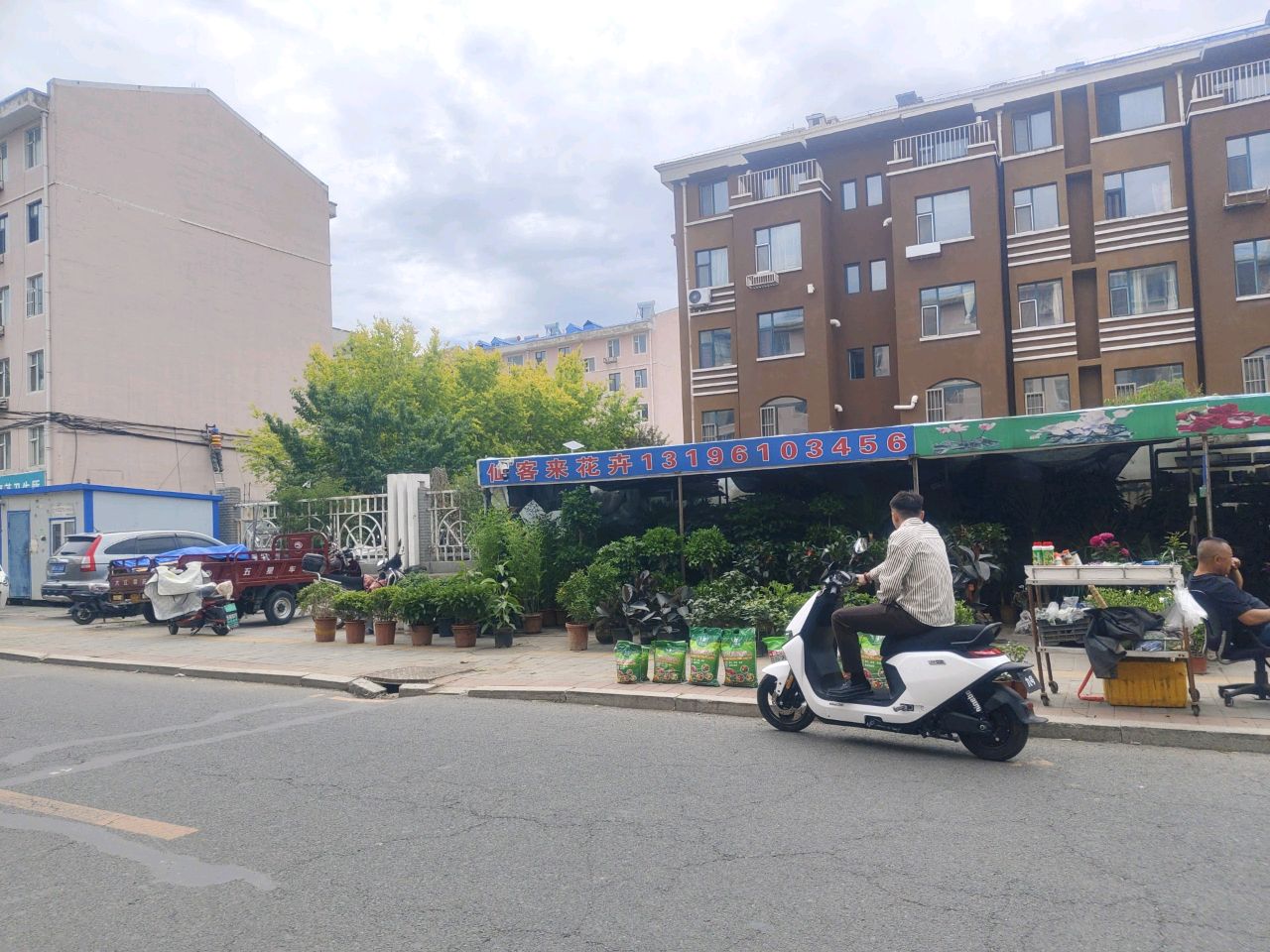 仙客来花卉(鑫龙城店)