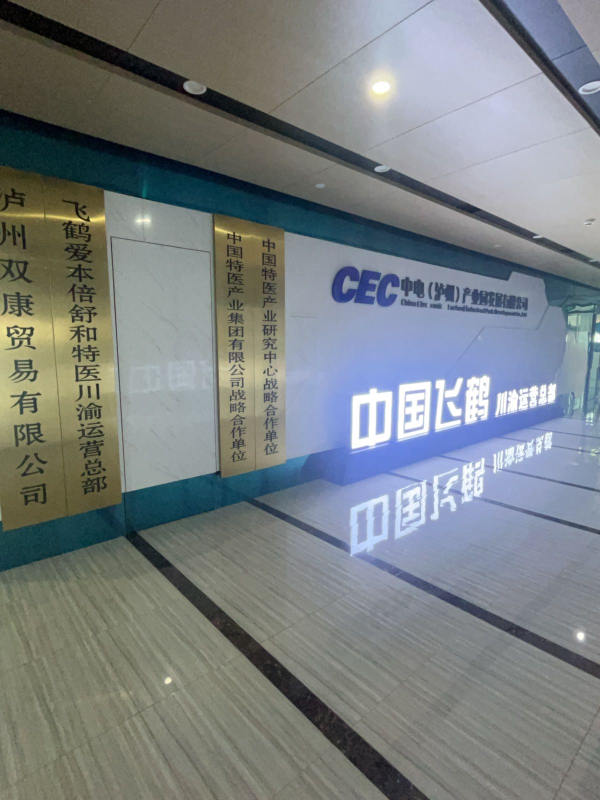中国飞鹤川渝运营总部(泸州双康贸易有限公司)