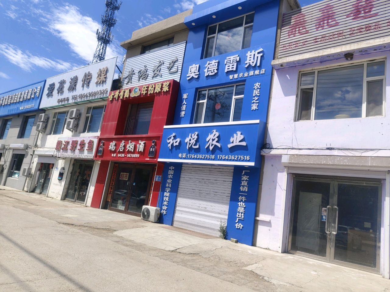 嫩江野生鱼批发