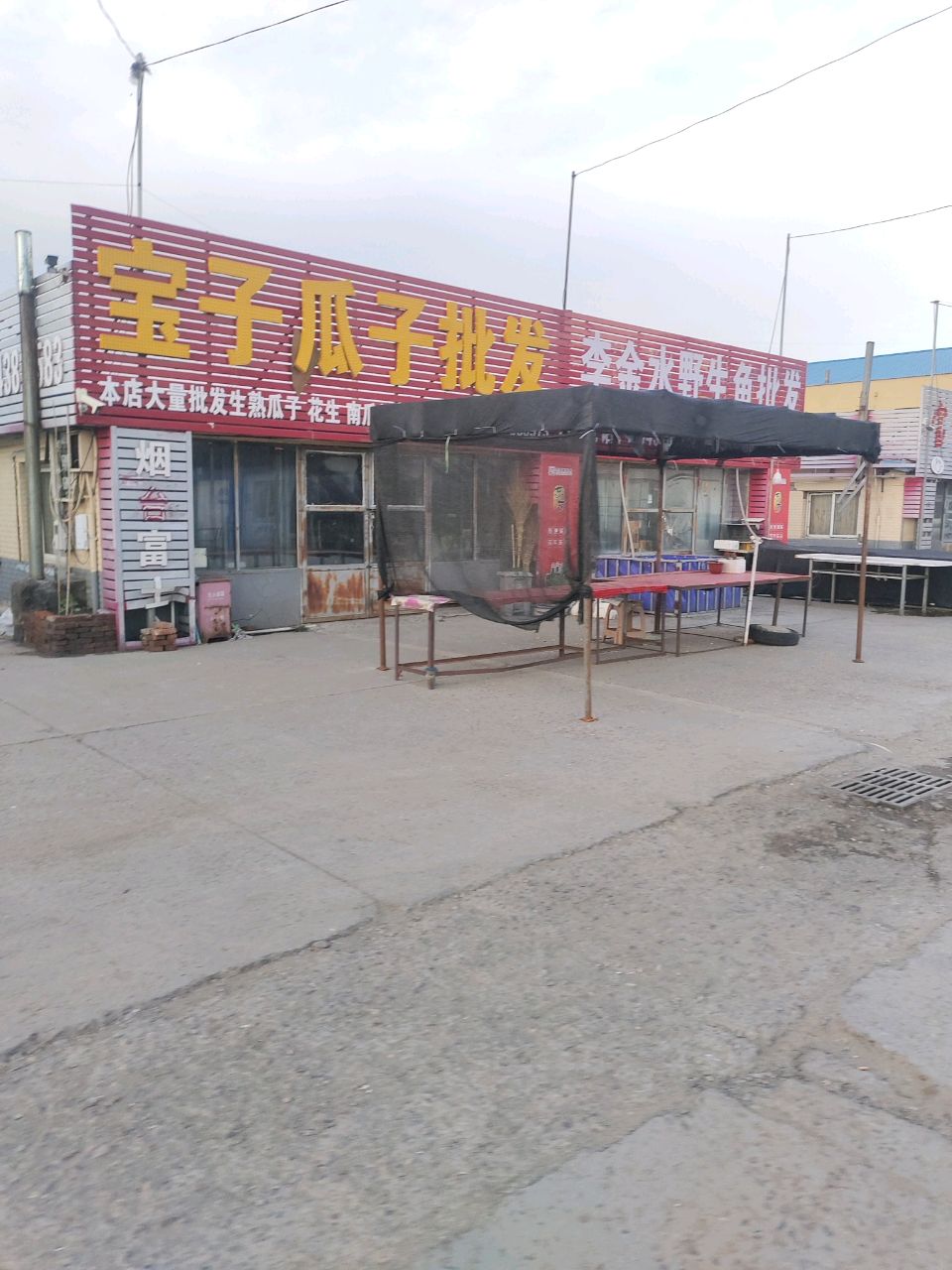 李金水野生鱼批发