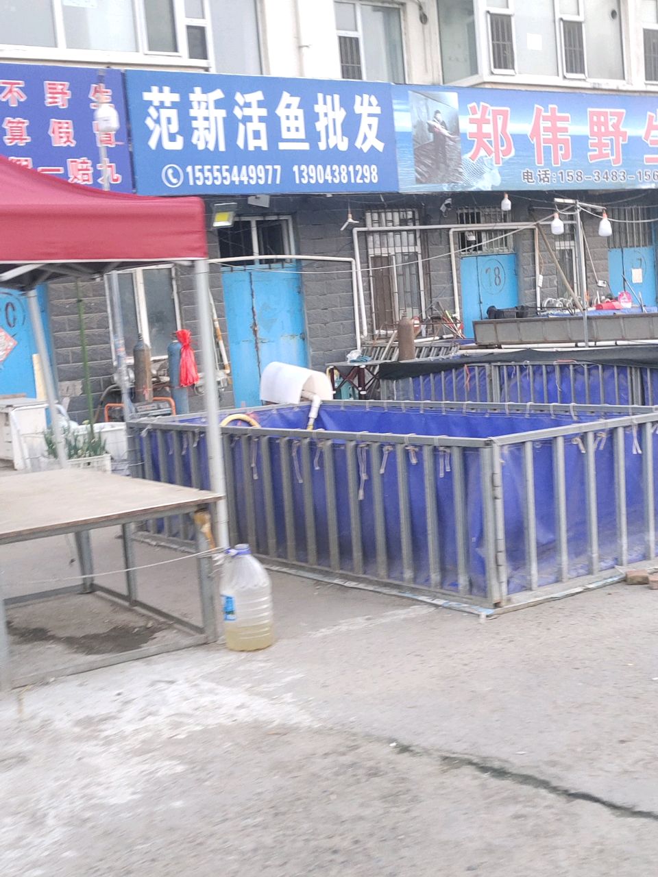 范新活鱼批发