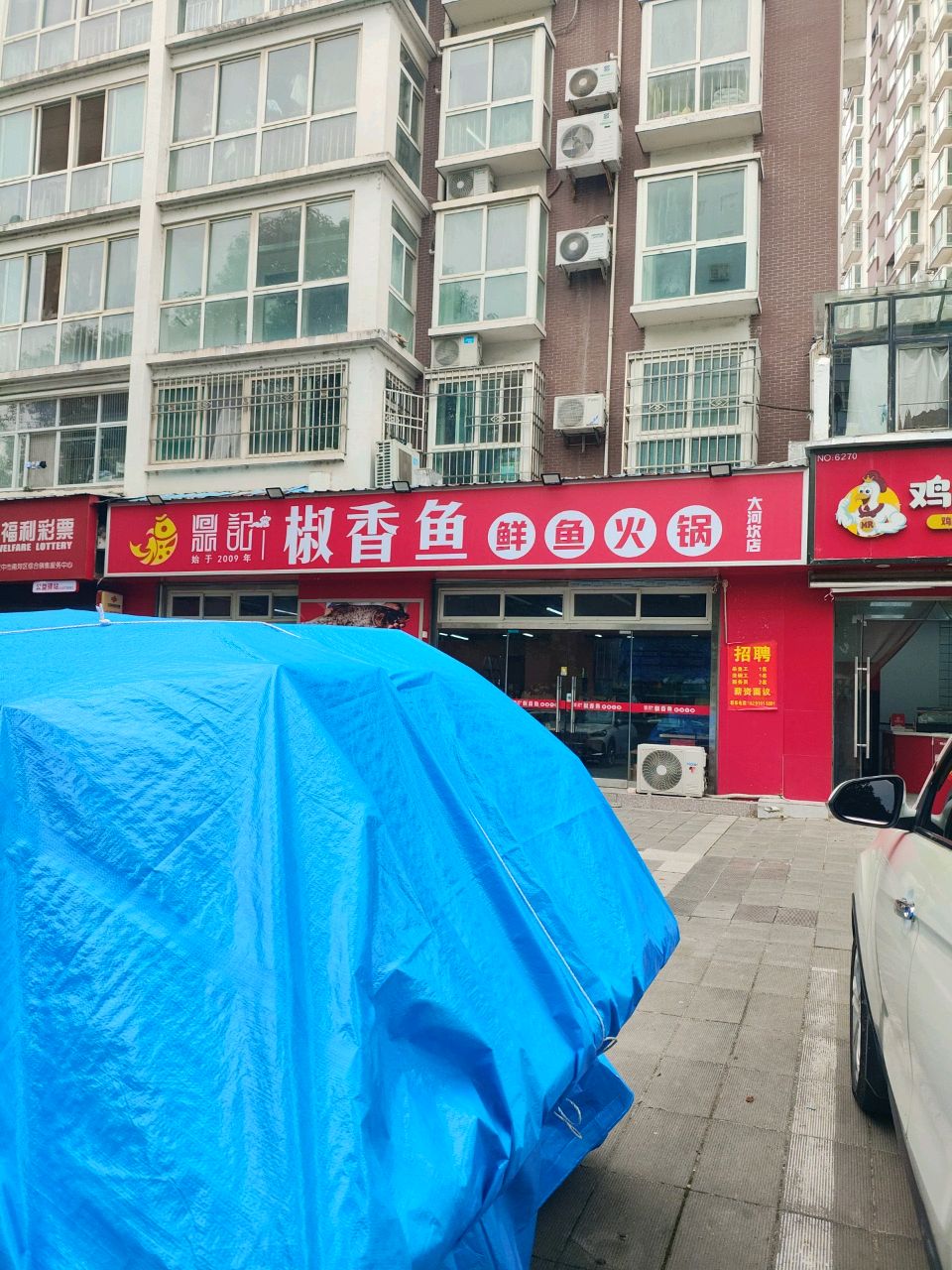 鼎记椒香鱼鲜鱼火锅(大河坎店)