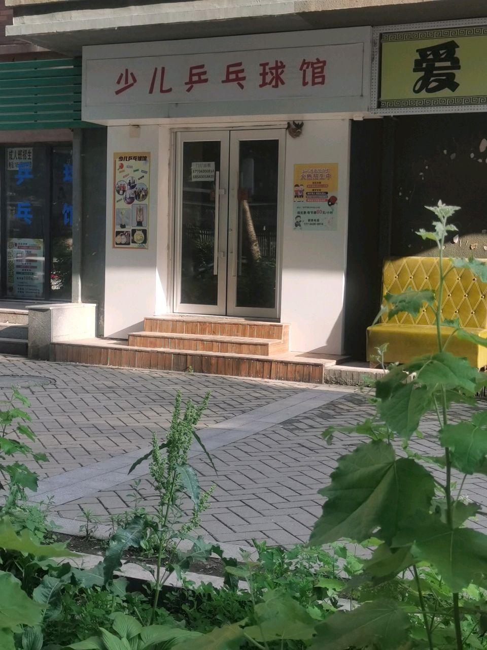 少儿乒乓球馆