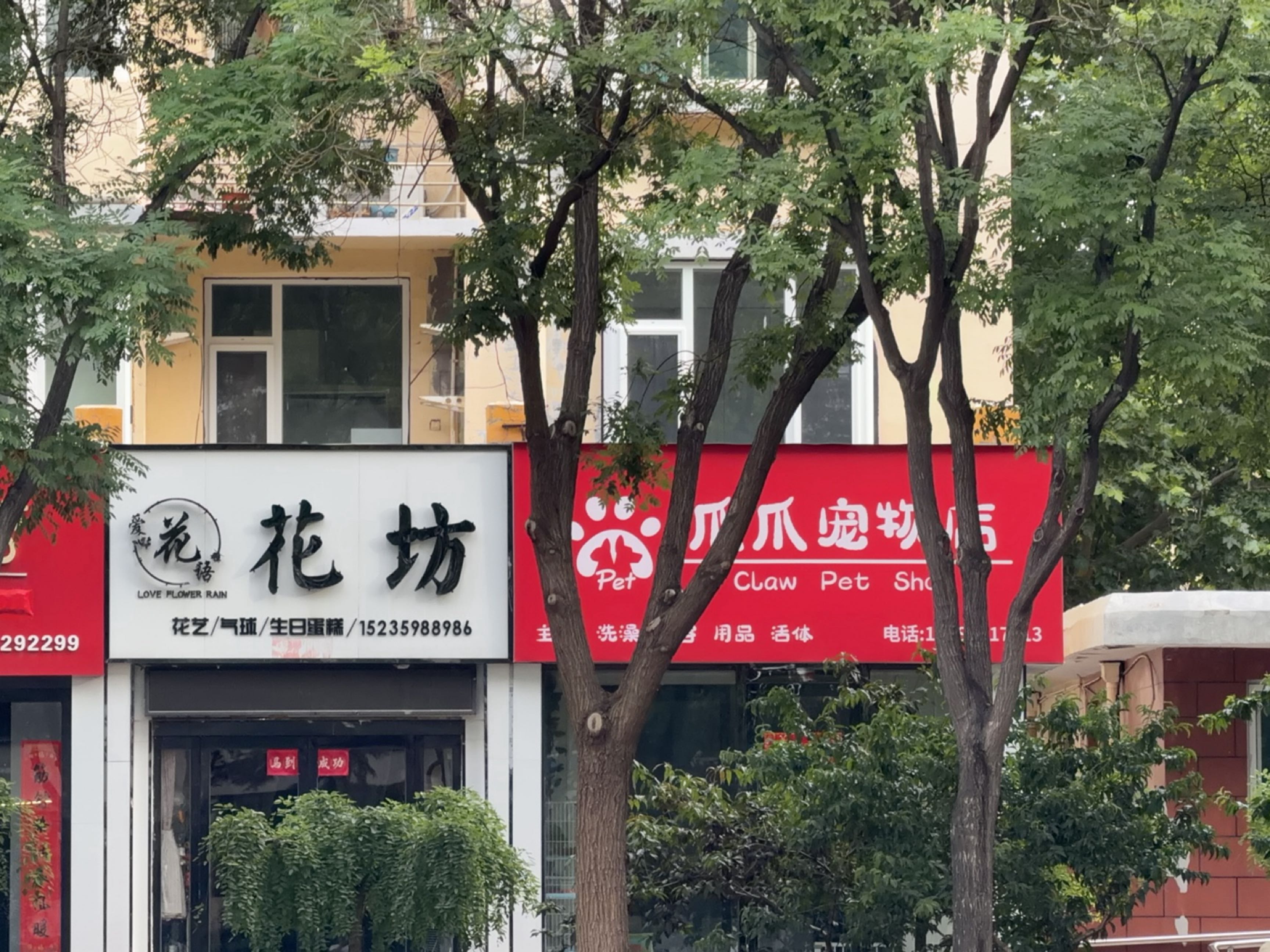 爪爪宠物店