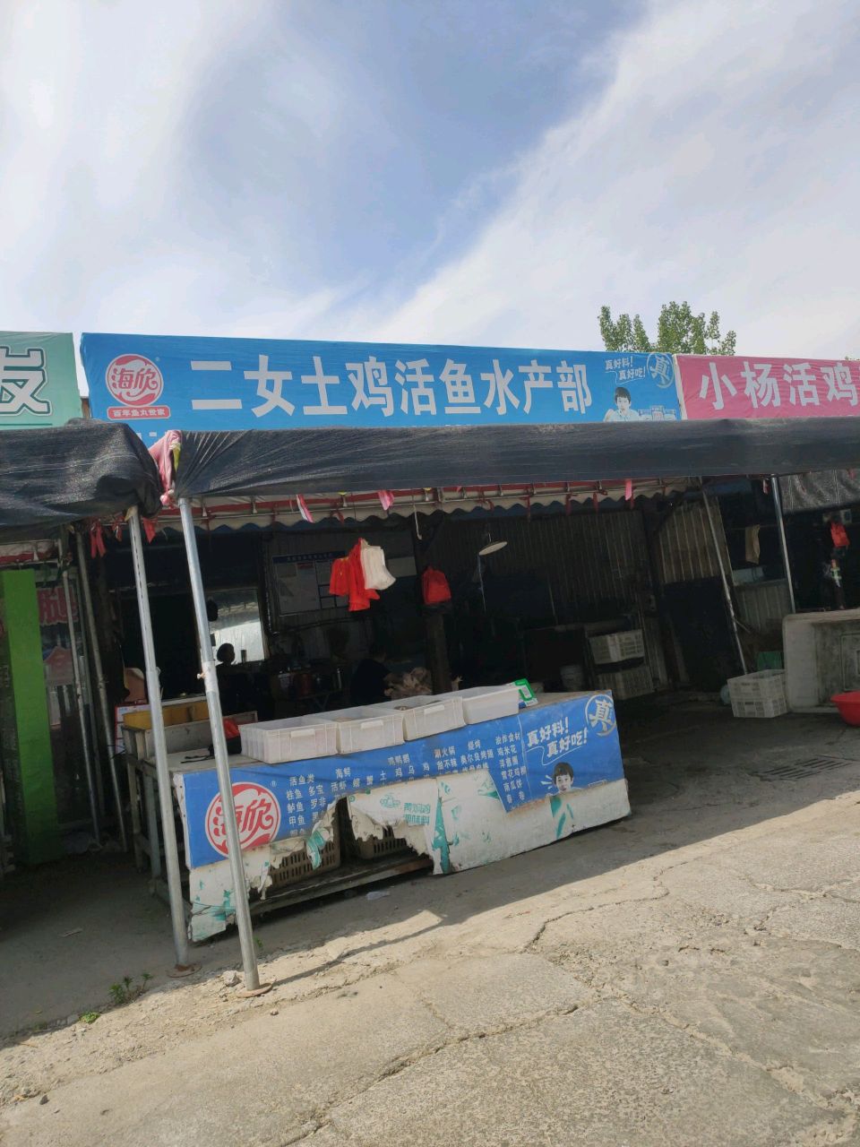 小杨活鸡鲜鱼批发