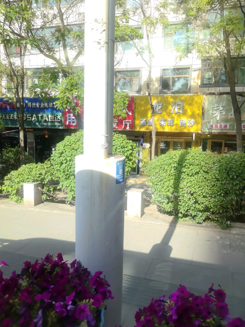 龙泊蒸脚采耳