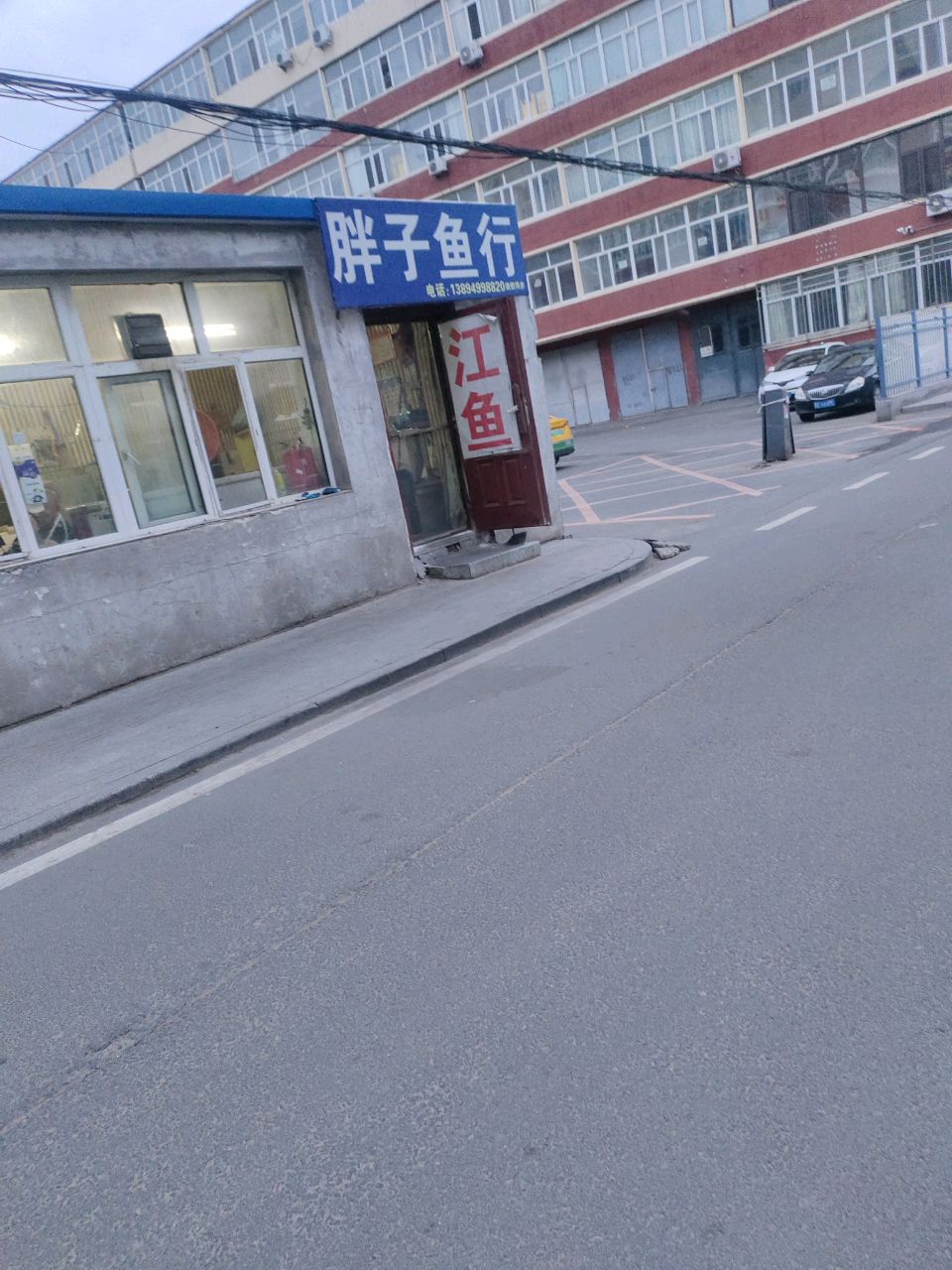 胖子鱼行