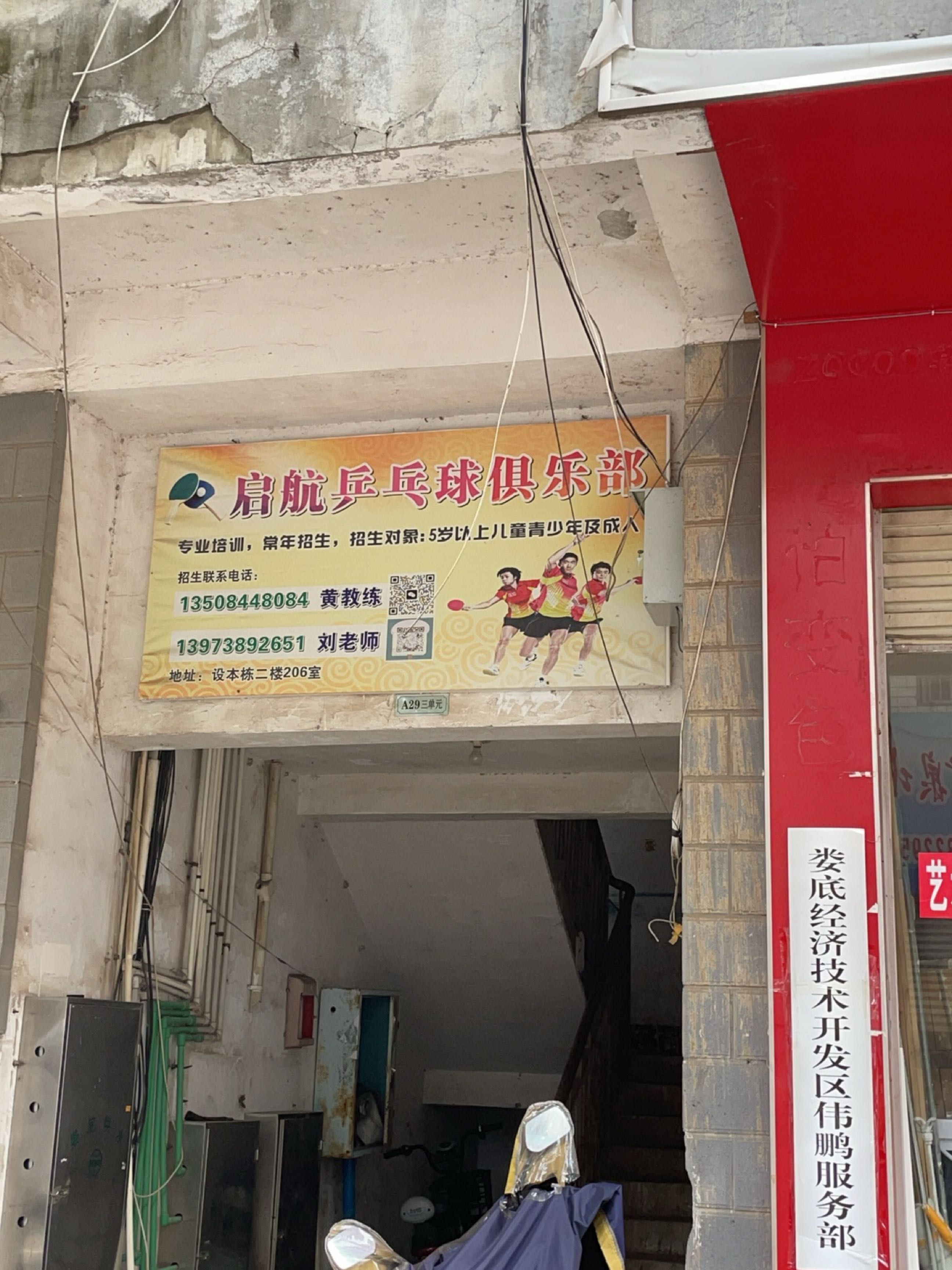 启航乒乓球俱乐部