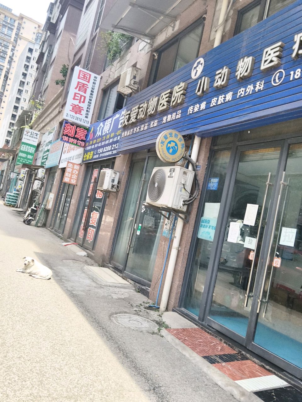 友爱动物医院