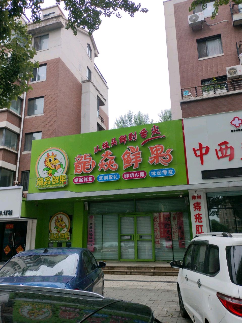 龙焱鲜果(华宇蓝山英郡店)