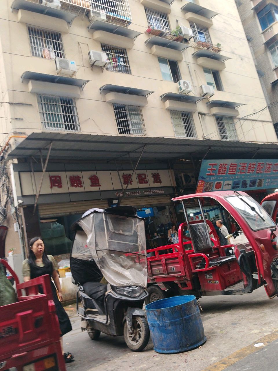 阿鲢鱼鲜配送