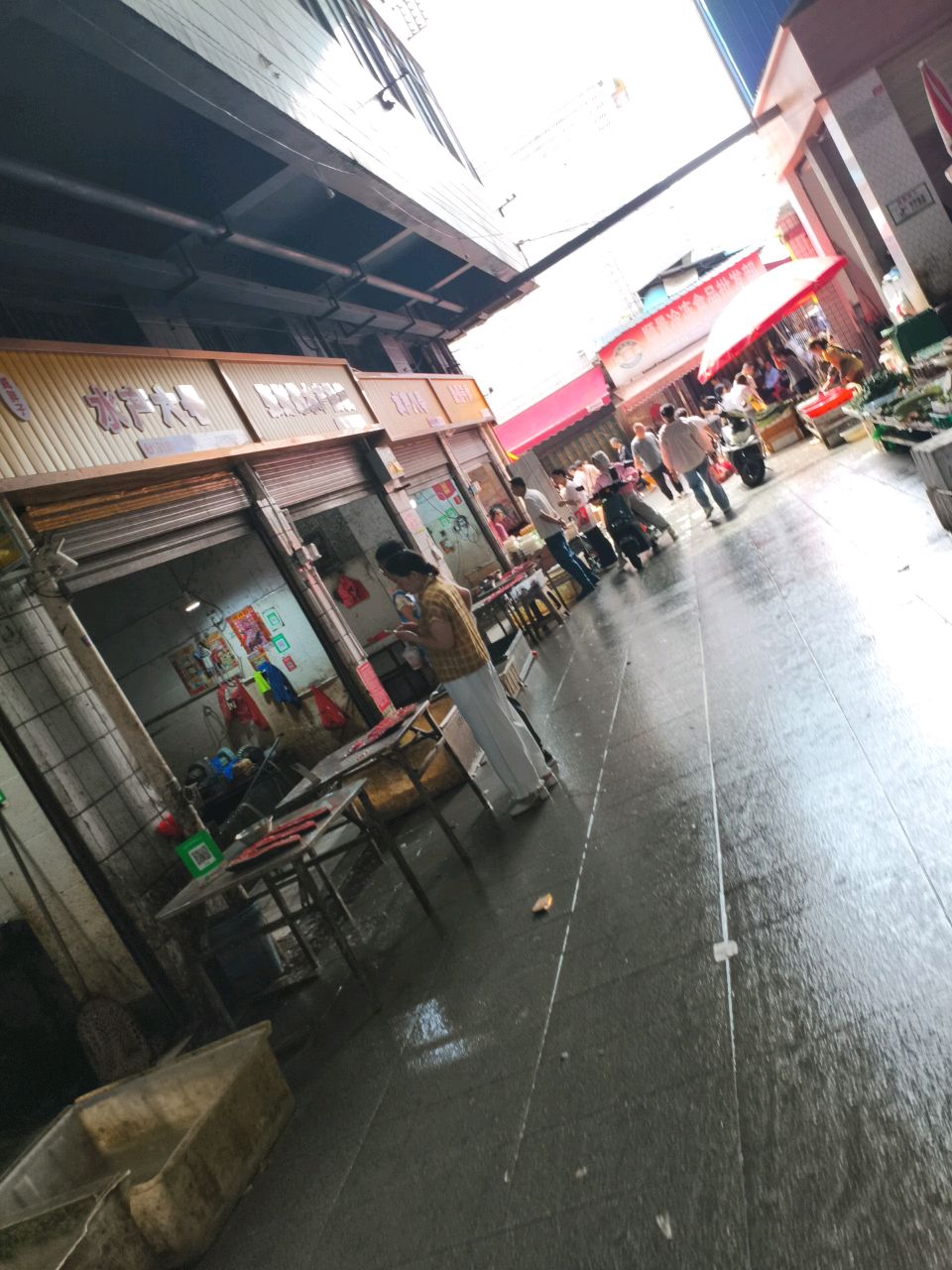 水产五号