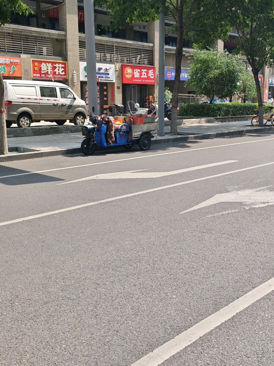 雀五毛