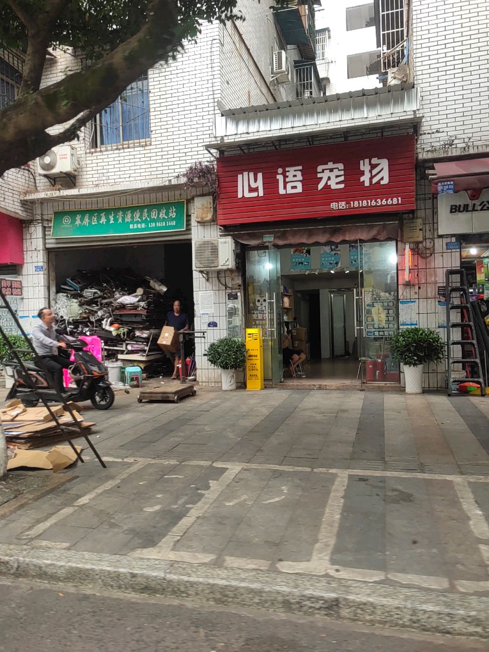 心语宠物