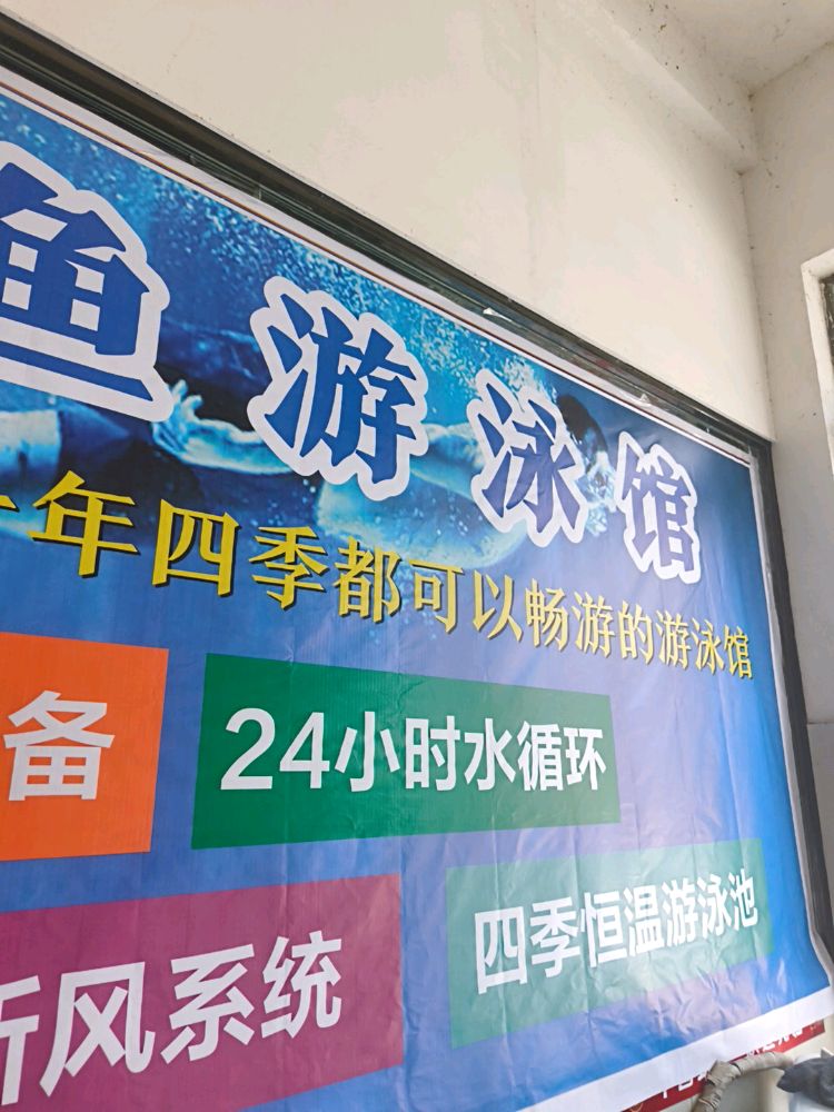 飞鱼游泳馆
