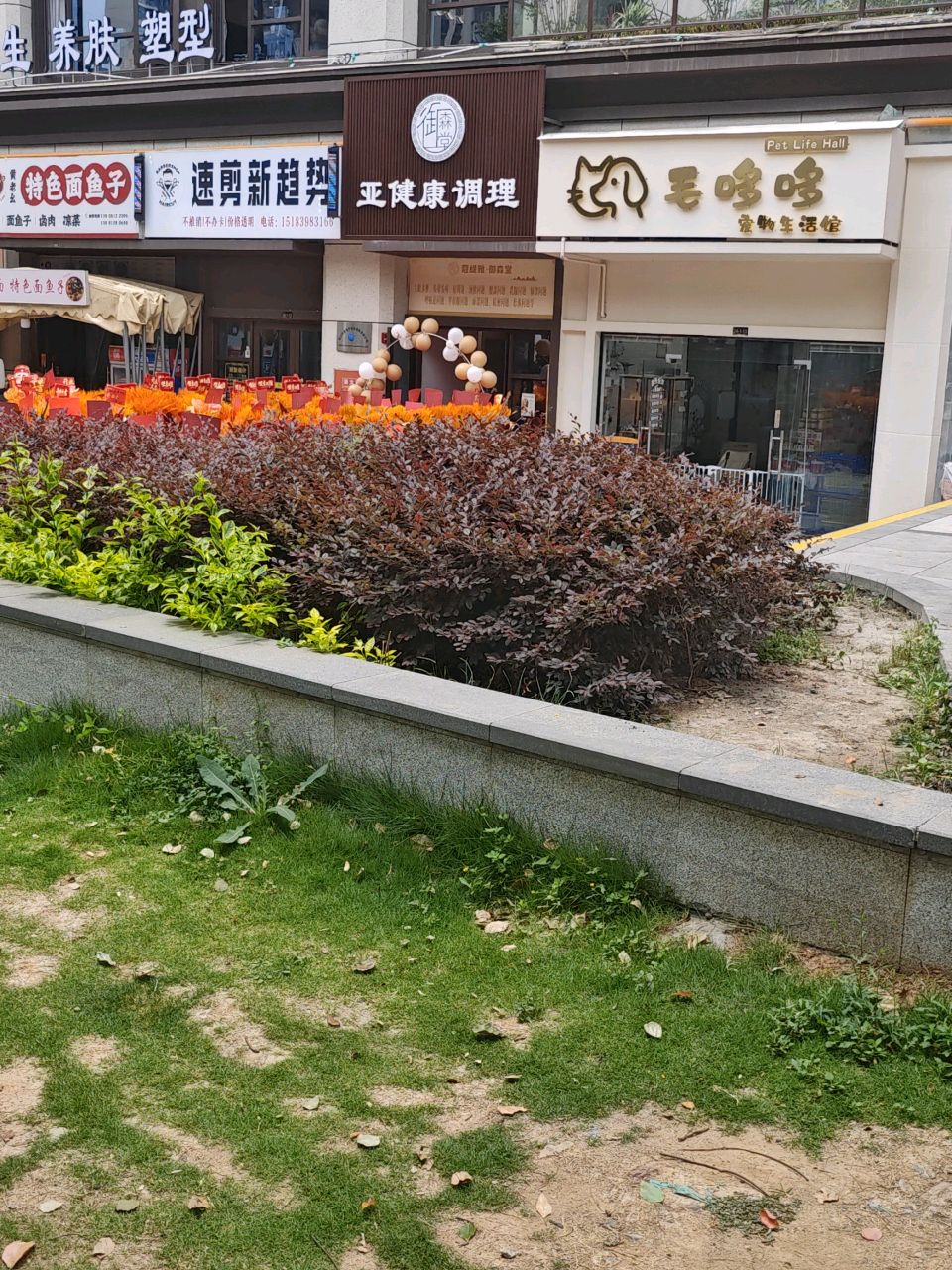 毛哆哆宠物生活馆
