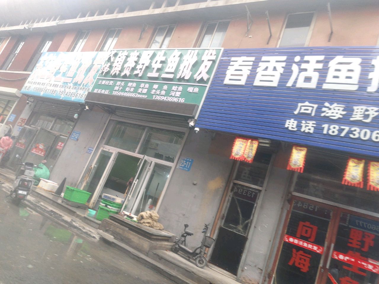 代伟镇赉野生鱼批发