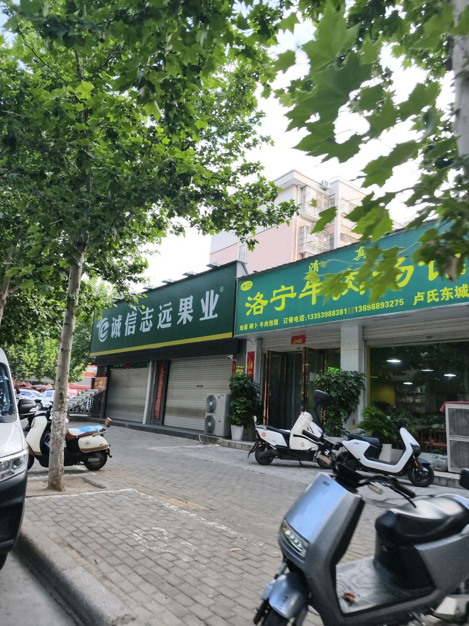 丹记清真洛宁牛肉汤馆(卢氏东城店)