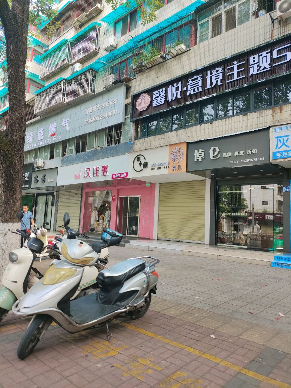 倬仑